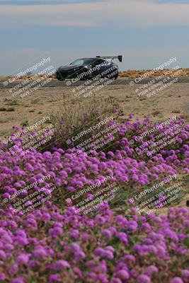 media/Jan-08-2023-SCCA SD (Sun) [[8f6a5b9391]]/Advanced Group/Session 2 (Short Straight)/